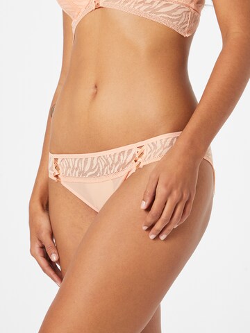 LingaDore Panty in Orange: front