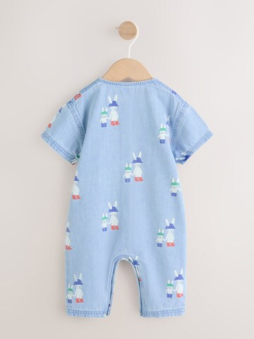 Next Beebibodi, värv sinine