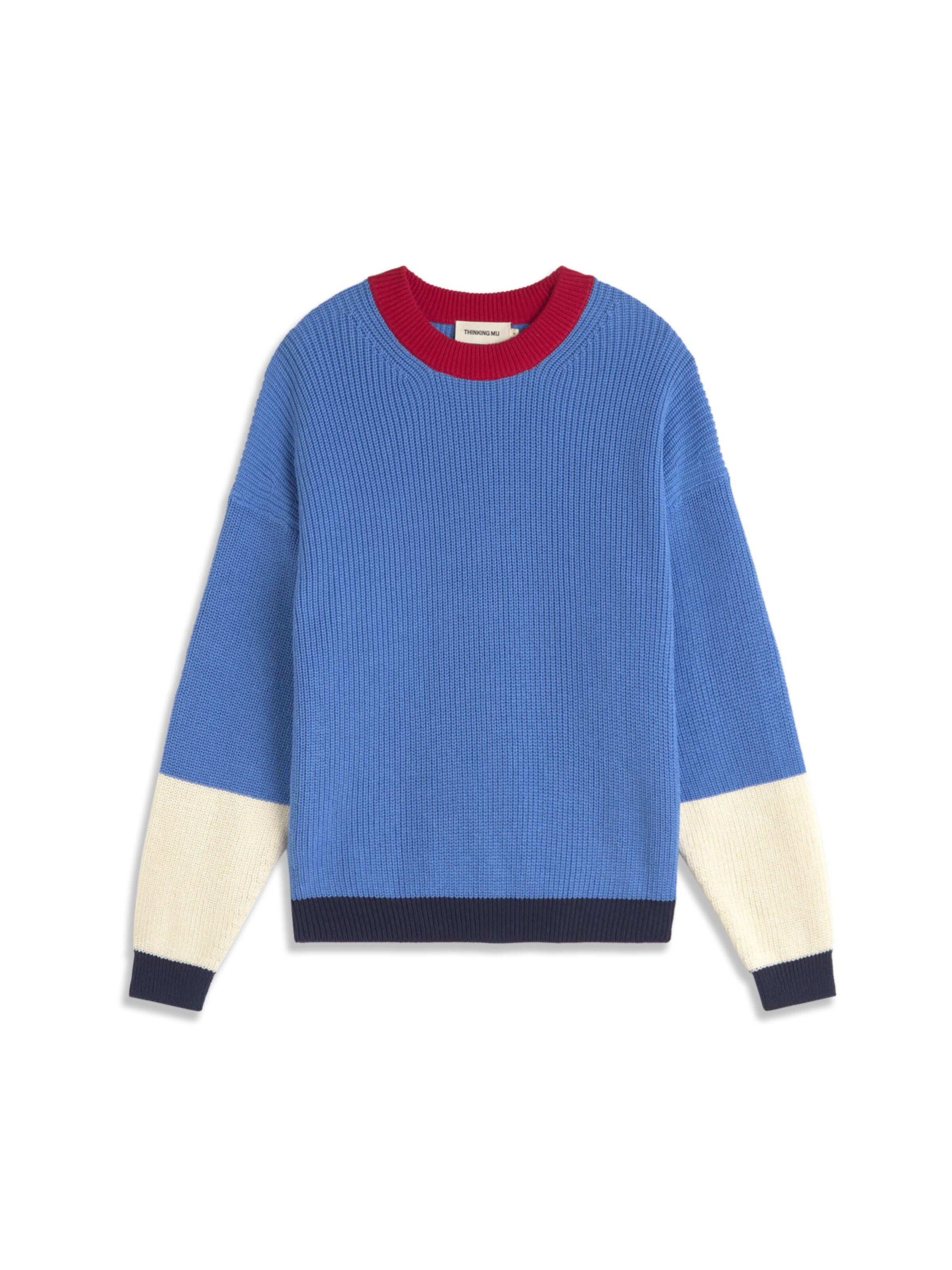 Thinking MU Sweater 'Carmen' in Blue: front