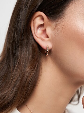 Tamaris Earrings in Pink: front