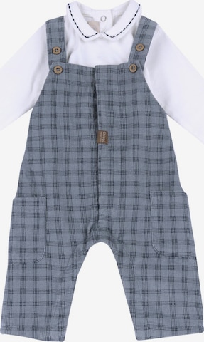 Chicco Setti värissä harmaa: etupuoli