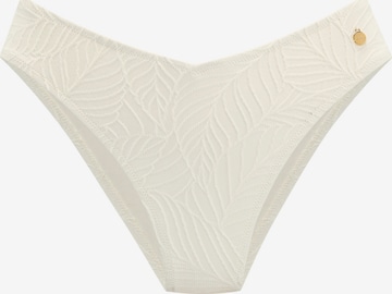 LASCANA Bikini bottom in Beige: front