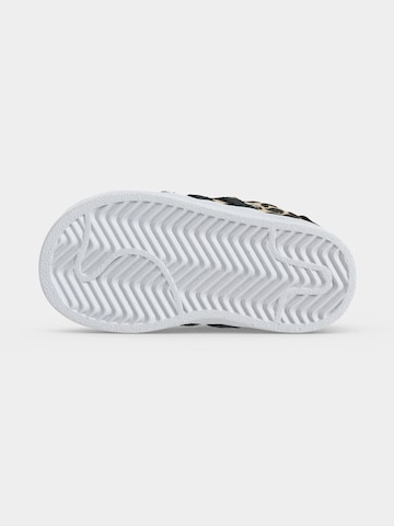 ADIDAS ORIGINALS Σνίκερ 'SUPERSTAR II' σε μπεζ