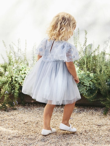 Next Dress in Blue