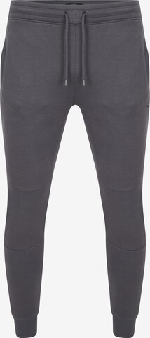 Threadbare Tapered Pants in Grey: front