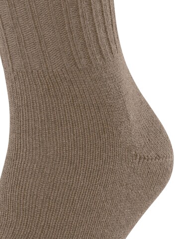 FALKE Socks 'Nelson' in Brown