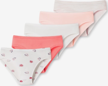 SCHIESSER Underpants ' 95/5 Organic Cotton ' in Pink: front