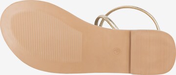 faina Strap Sandals in Gold