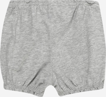 Tapered Pantaloni di Carter's in grigio