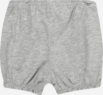 Effilé Pantalon Carter's en gris