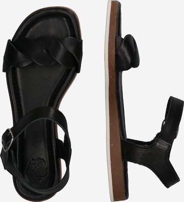 Apple of Eden Strap Sandals 'INEZ' in Black