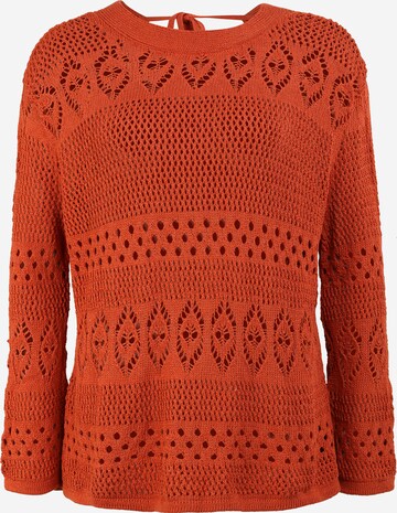 Dorothy Perkins Petite Pullover in Rot: predná strana