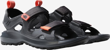 THE NORTH FACE Sandal 'Hedgehog' in Grey