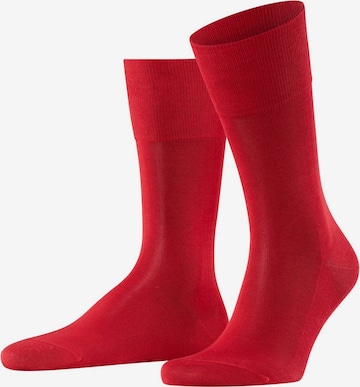 Calzino di FALKE in rosso: frontale