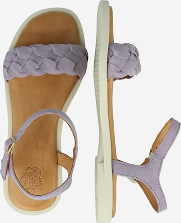 Apple of Eden Sandalen met riem 'Alma' in Lila