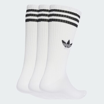 ADIDAS ORIGINALS Socks in White: front