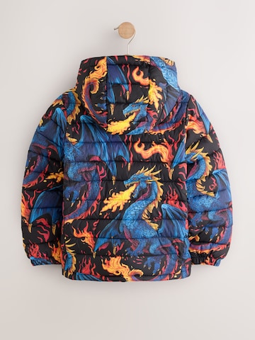 Next Winterjas in Gemengde kleuren