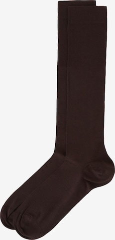 CALZEDONIA Socks in Brown: front