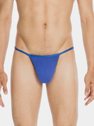 HOM Panty ' Plumes ' in Blue