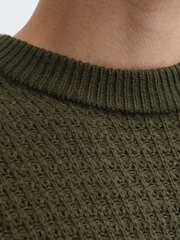 JJ Rebel Pullover 'JREBFRAME' i grøn