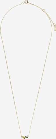 ANIA HAIE Necklace in Gold