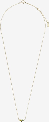 ANIA HAIE Necklace in Gold