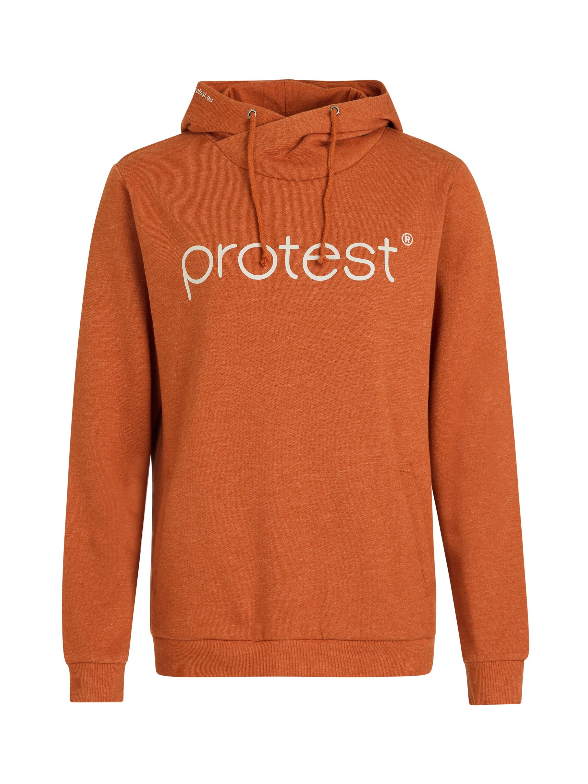 PROTEST Pullover 'CLASSIC LOGO HOODY'‌‌‌‌‌‌ in Braun: Vorderseite