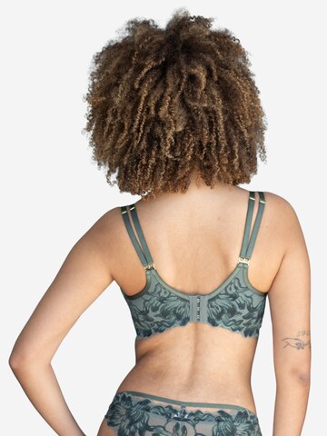 SugarShape Minimiser Bra 'Cha' in Green