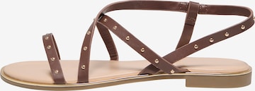 Sandalo con cinturino 'ONLMARI-4' di ONLY in marrone: frontale