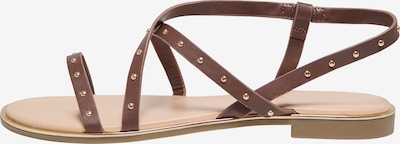 ONLY Siksniņsandales 'ONLMARI-4', krāsa - brūns, Preces skats