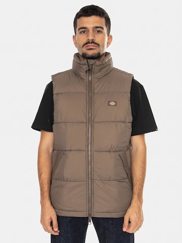 DICKIES Vest i brun: forside