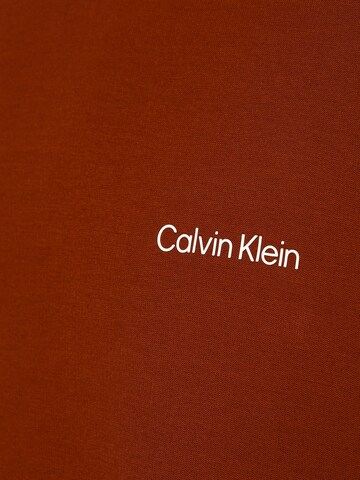 Calvin Klein Sweatshirt in Braun