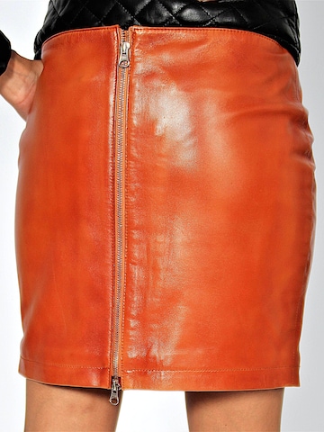 Be  Noble Skirt in Brown
