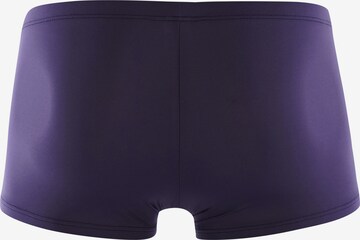 Olaf Benz Boxer shorts ' RED0965 Minipants ' in Purple