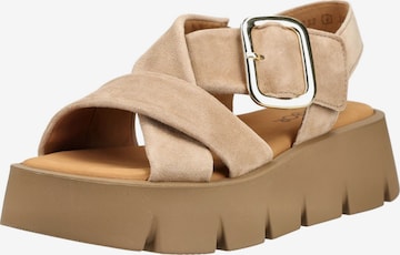 Sandales GABOR en beige : devant