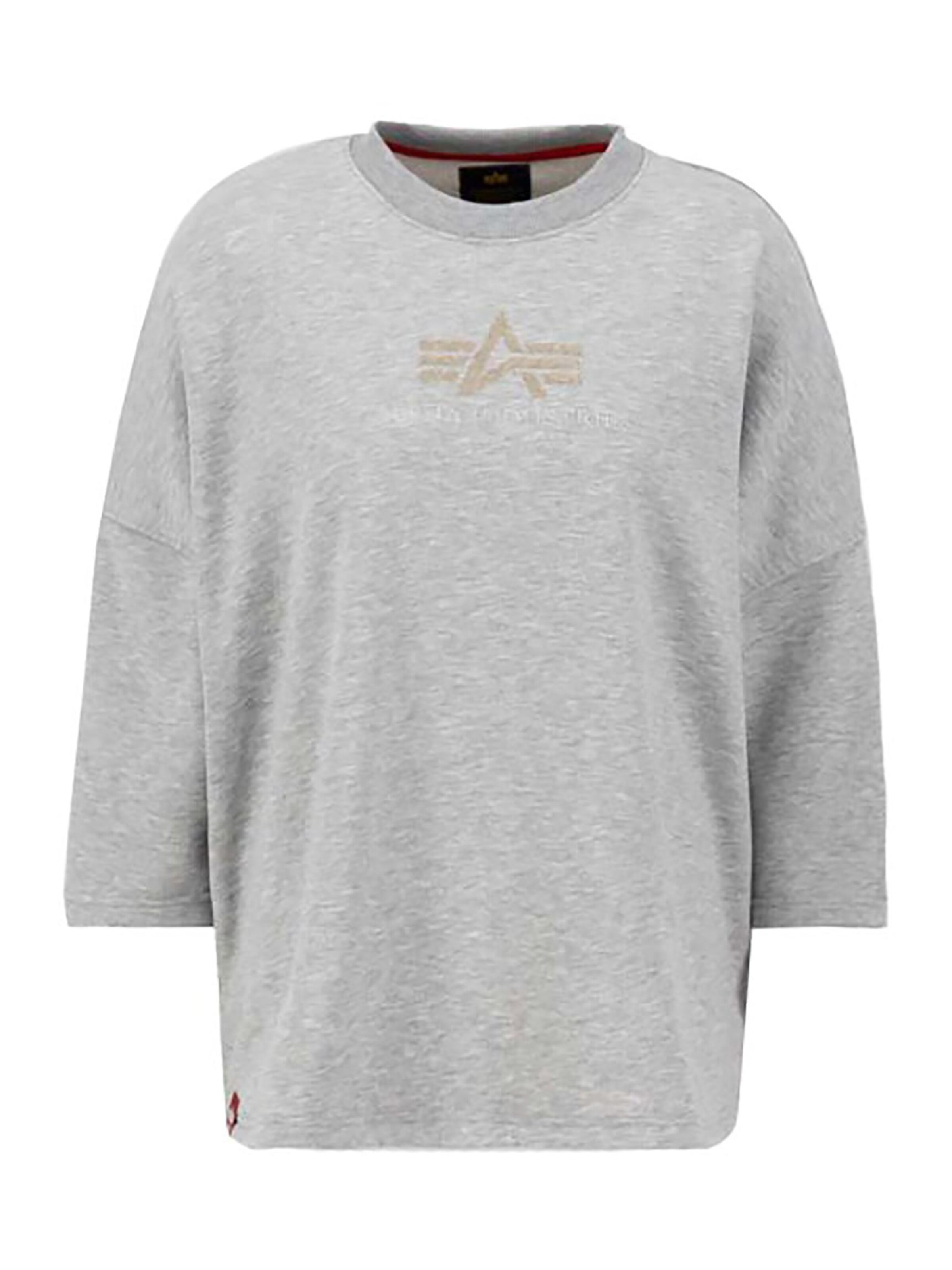 ALPHA INDUSTRIES Sweatshirt 'Crystal OS' in Grey: front
