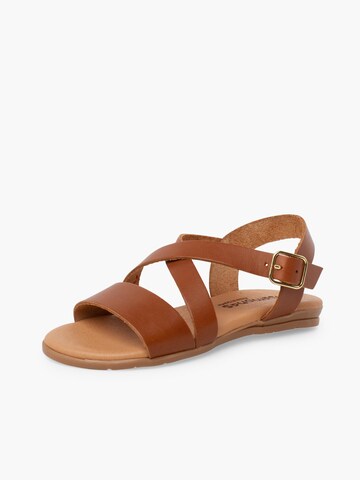 Sandales Pisamonas en marron : devant