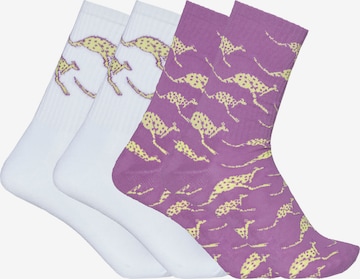 CHIEMSEE Socks in Purple: front
