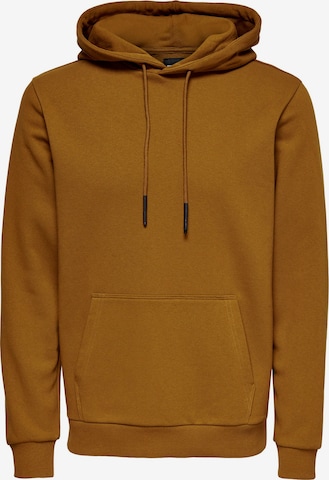 Only & Sons Sweatshirt 'Ceres' in Brown: front