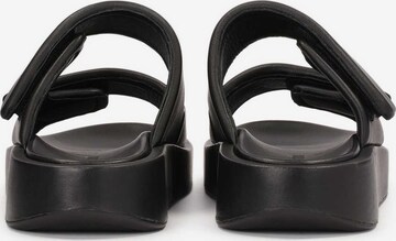 Kazar Studio Mules in Black