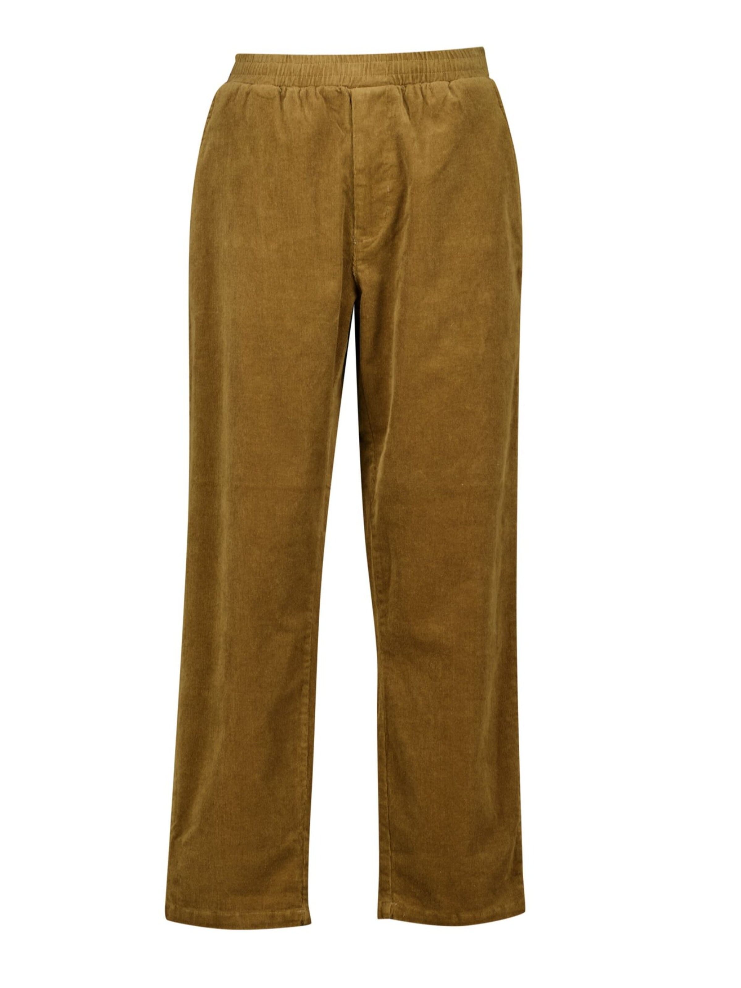 Regular Pantalon Deeluxe en marron : devant