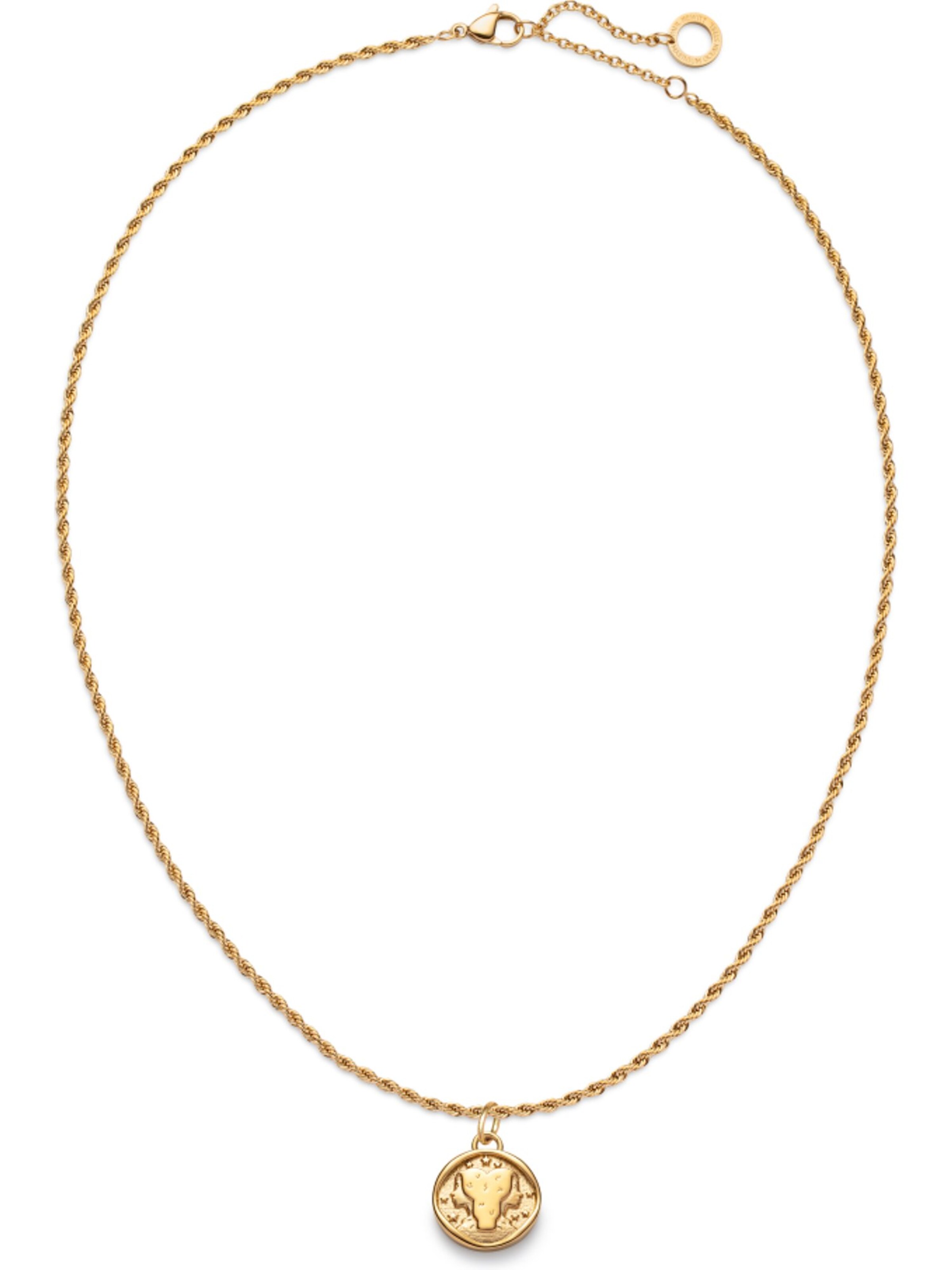 Paul Hewitt Kette in Gold: Vorderseite