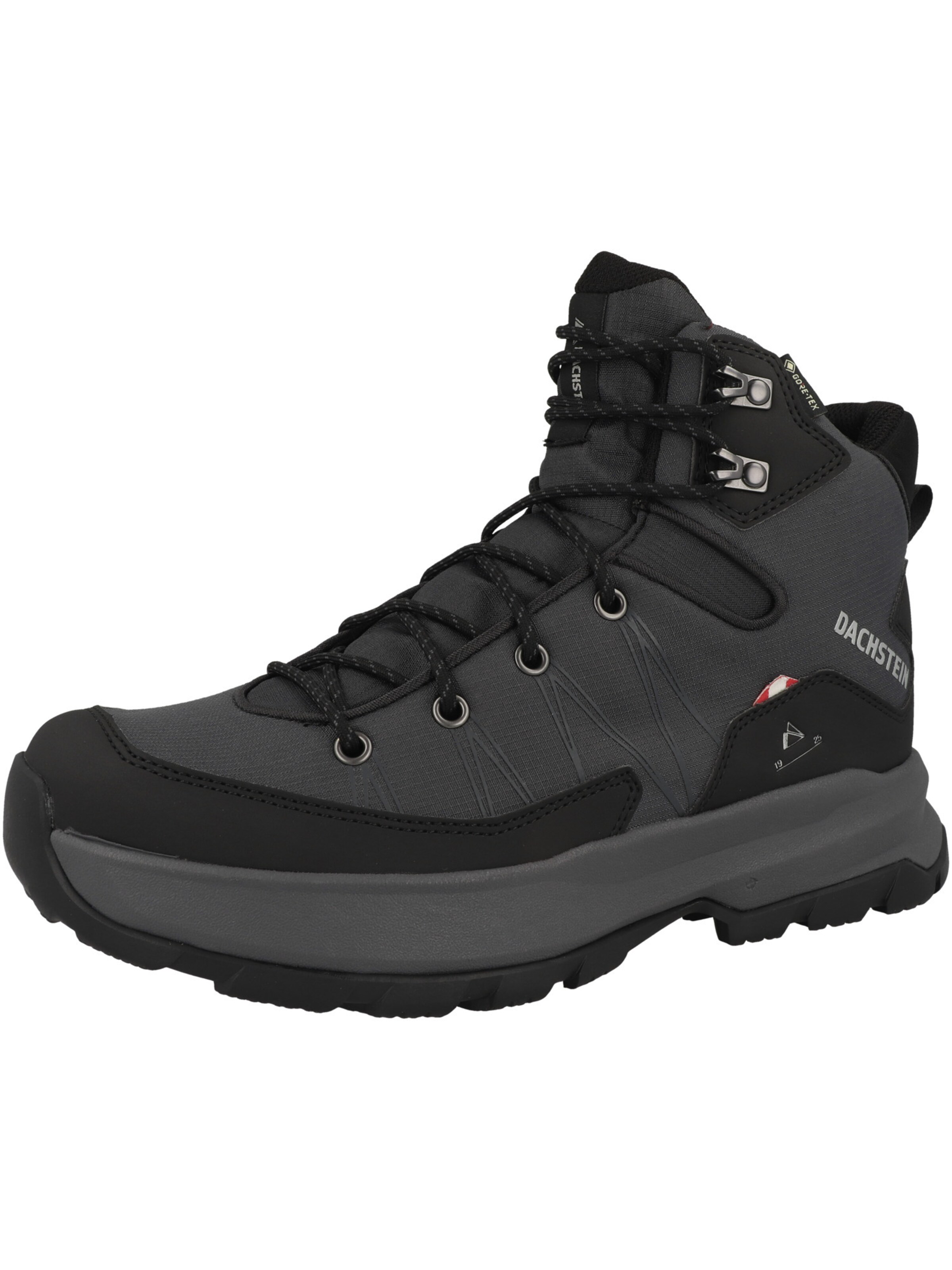 Scarpa bassa di Dachstein in nero