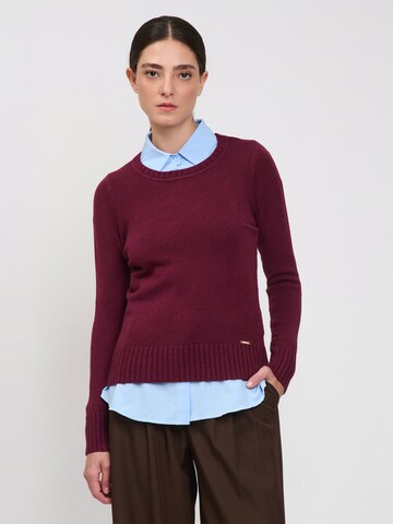 Influencer Sweater in Purple: front