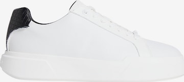 Calvin Klein Sneaker 'Avenue' in Weiß: Vorderseite
