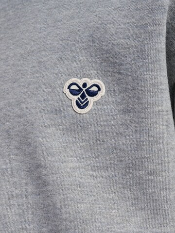 Sweat Hummel en gris