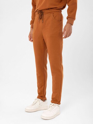 Antioch Regular Trousers in Brown