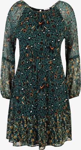 Orsay Dress 'Majolon' in Green: front