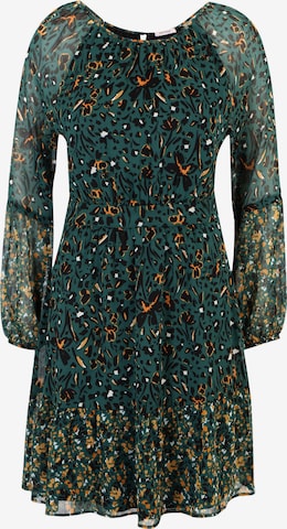 Orsay Dress 'Majolon' in Green: front