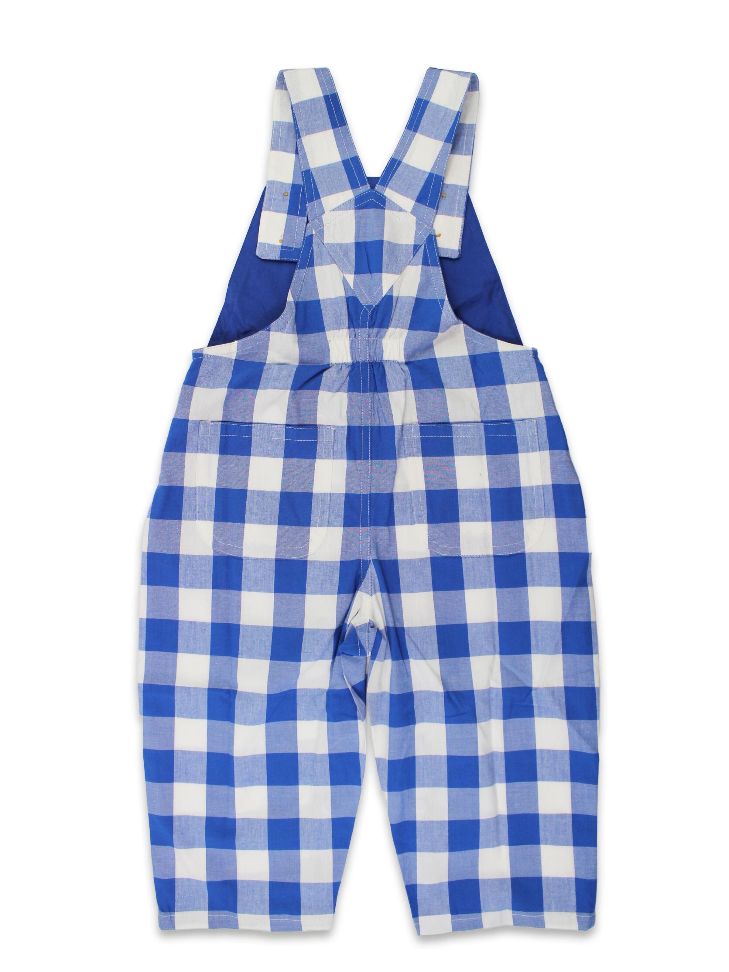 Toby Tiger Regular Overalls in Blue